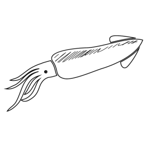 Tapas de pescaito